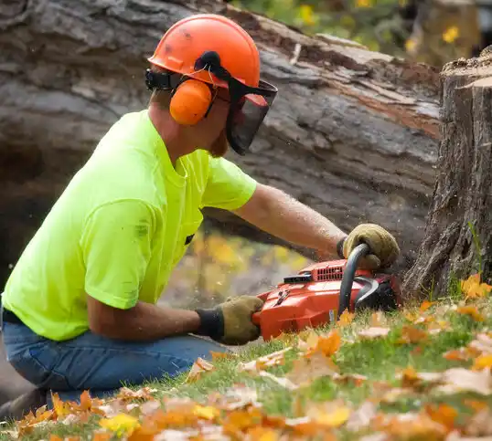 tree services Belpre